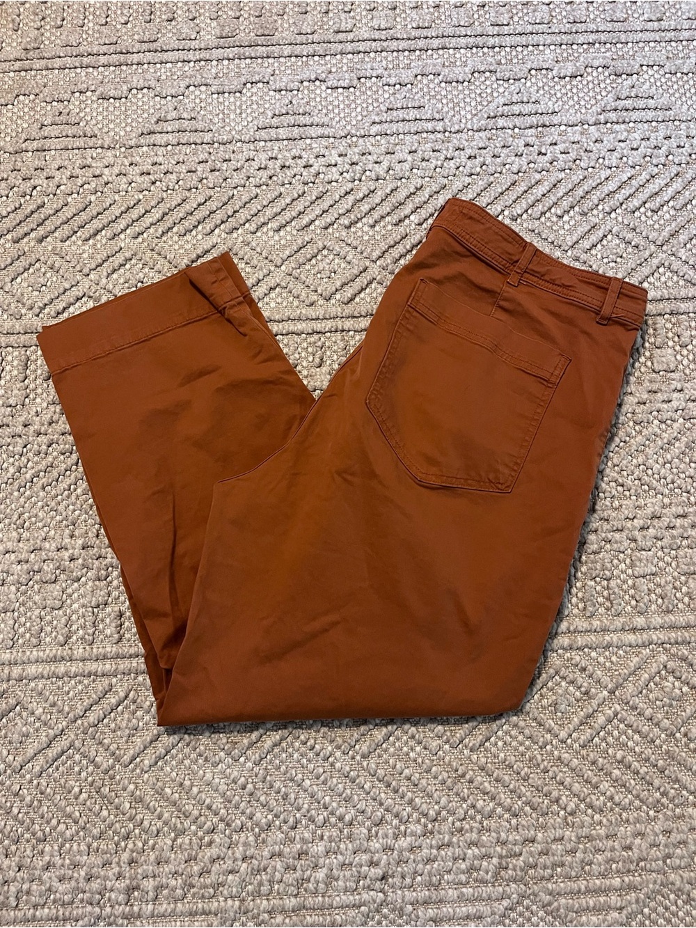 Everlane Utility Straight Leg Pants